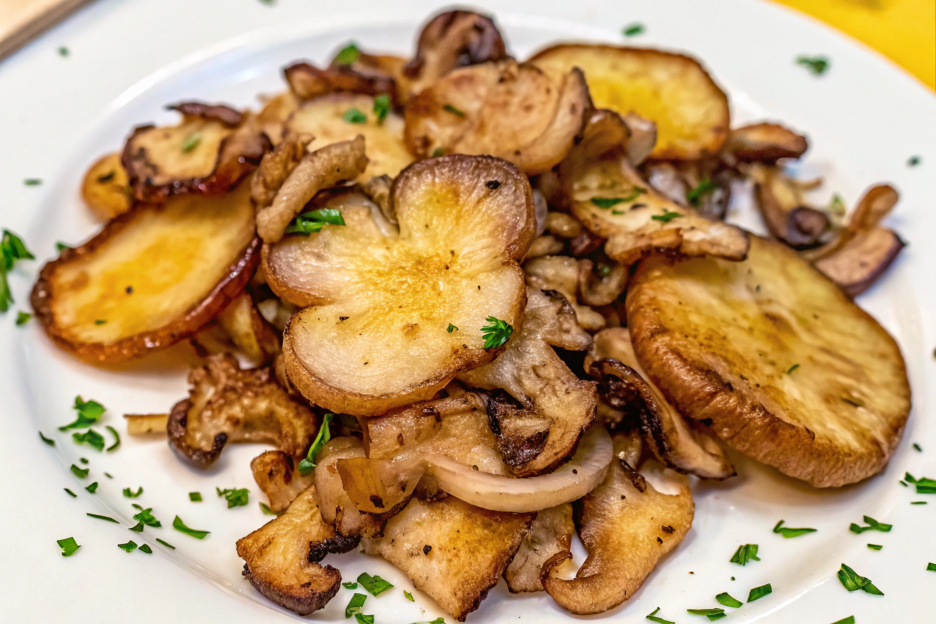 lion's mane mushroom recipe​